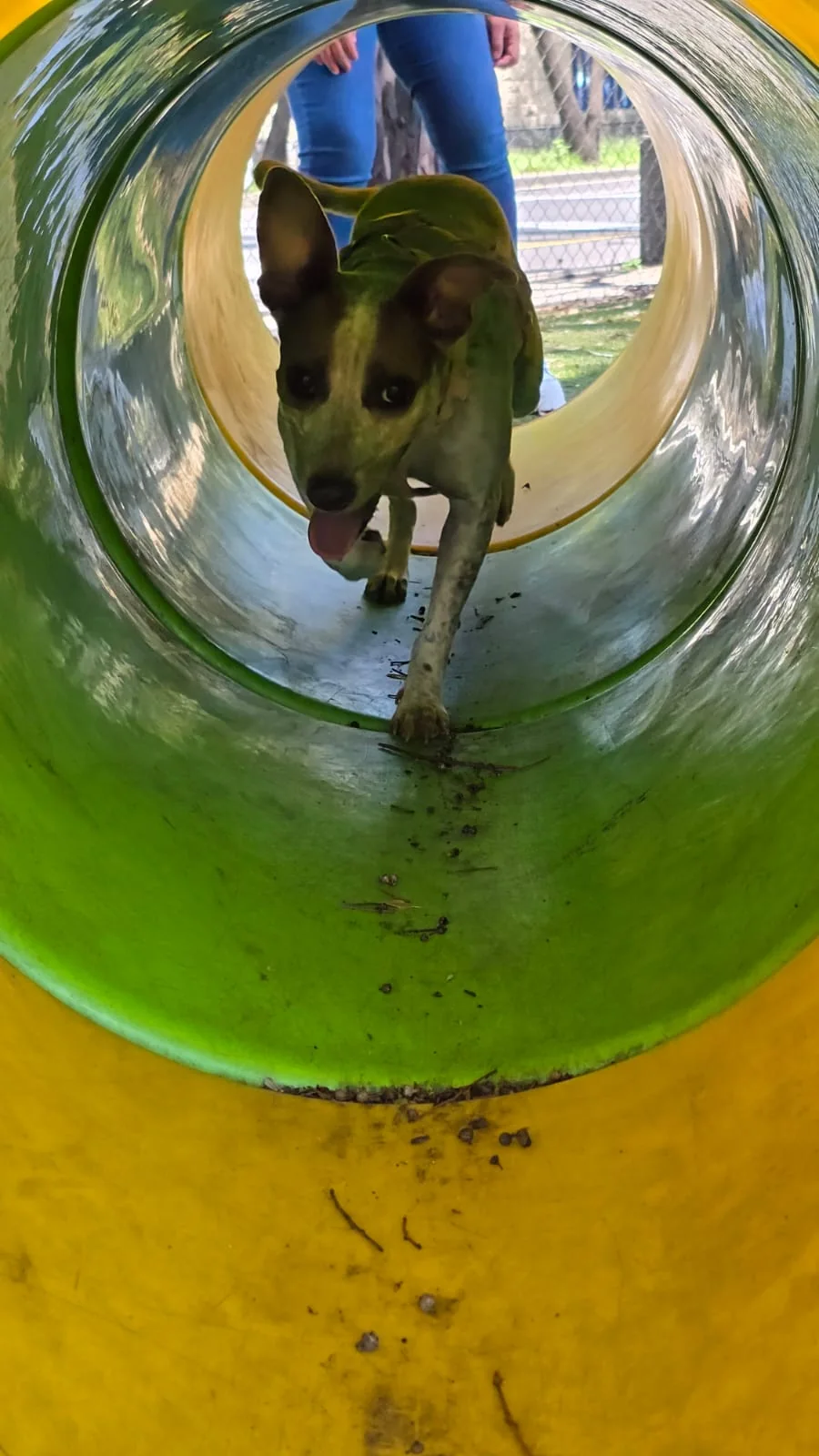 Jolette atravesando un túnel de juegos