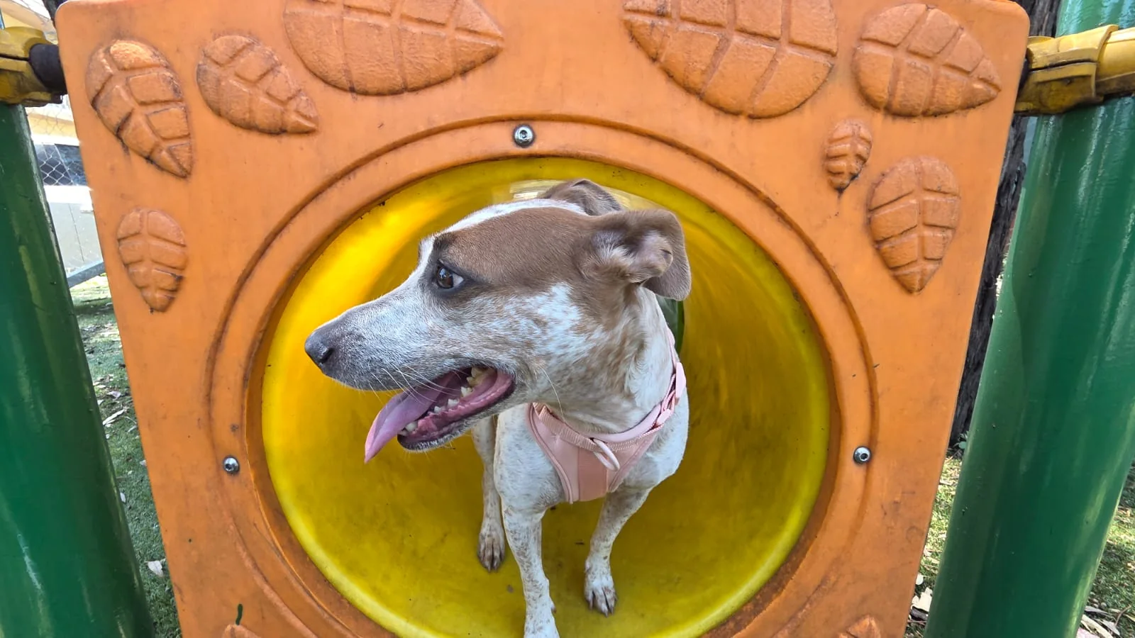 Jolette dentro del túnel de juegos del parque